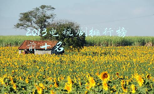 2013电视剧排行榜前十名