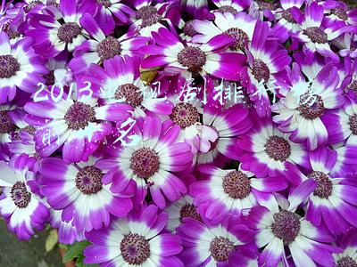 2013电视剧收视率排行榜(2014-2010年香港tvb年度收视率排名前三的经典剧)