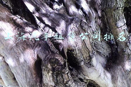 上海汽车租赁公司排名
