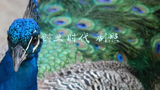 创业时代 剧照