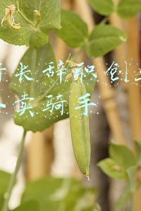 银行行长辞职创业失败转做外卖骑手