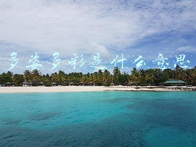 多姿多彩是什么意思,用什么方法理解的(《多姿多彩的夏天》作文指导)