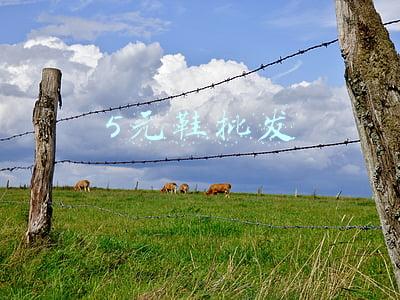 5元鞋批发农田鞋(“让更多荒漠变成良田”)