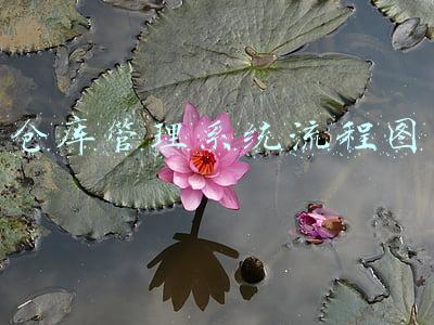 仓库管理系统流程图
