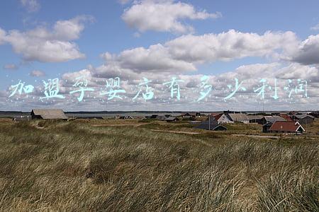 加盟孕婴店大概要多少钱(加盟孕婴店大概需要多少钱)