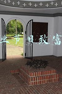 农业节目致富经种植(山西乡村的致富经：特色农业种植助农增收)