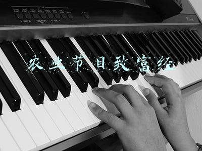 农业节目致富经种植辣椒(庆丰收 迎小康 河南柘城40万亩辣椒红了)