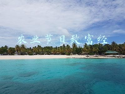 农业节目致富经养牛在线(马俊林的养牛致富经)