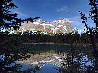 育婴店加盟利润，育婴连锁店加盟