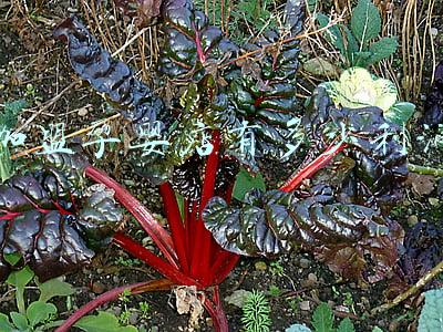 晨光文具加盟店利润(晨光文具加盟店利润怎么样)