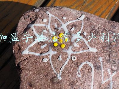 孕婴品牌店利润怎么样：孕婴品牌店利润