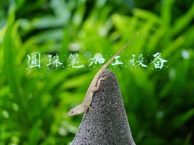 圆珠笔生产加工(把小事办实，将实事做好！)
