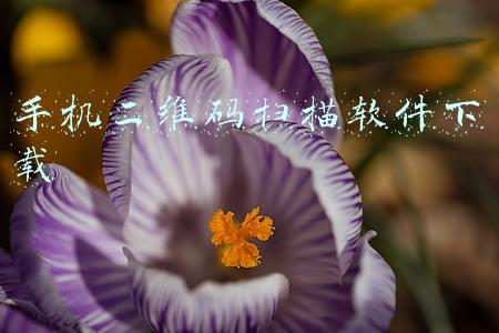 手机二维码扫描软件下载