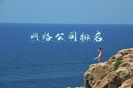 网络公司排名