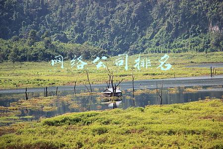 网络公司排名