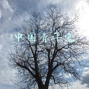 中国青年党史优秀讲解员证书(少年话百年，童心映初心！华富街道第二期“党史小小讲解员”项目圆满结业)