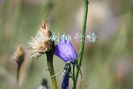 好看的港剧排行榜(评分前十经典港剧：上海滩才第五，射雕并非第一，霍元甲上不了榜)