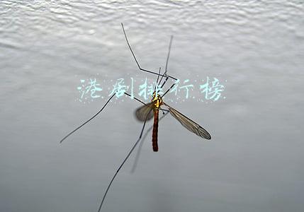 港剧排行榜2021最新(现在说「2021港剧第一」未免太早)