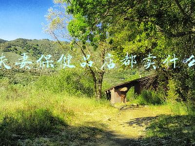 保健品店主要卖啥(再看保健品最新的营销案例，赶紧收藏起来)