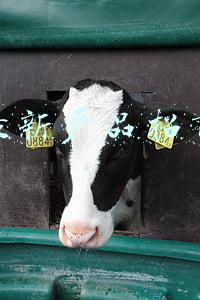 最新产品招商
