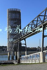 山鸡养殖加盟