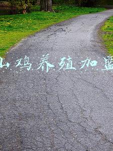 山鸡养殖加盟