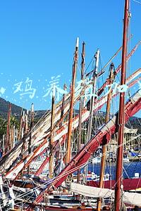 山鸡养殖加盟