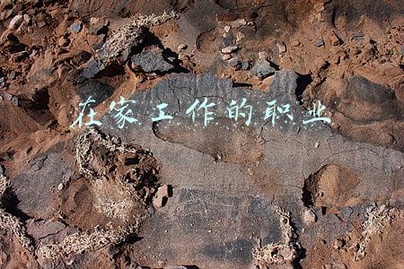 在家工作的职业叫什么单位(酸了！携程新制度支持员工在家上班，年轻人纷纷点赞)
