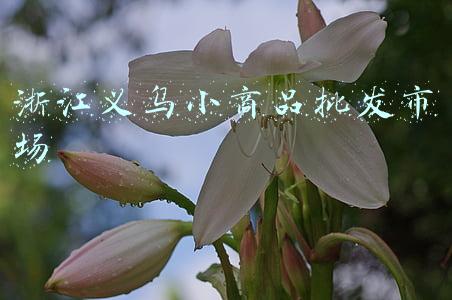 浙江义乌小商品批发市场2元店(南宁这几个批发市场，太太太太划算啦)