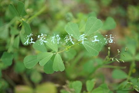 在家挣钱手工活