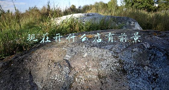 现在开什么店有前景