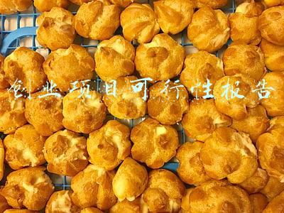 创业项目可行性报告范文模板(普通人创业的可行性方案模板)