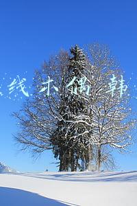 提线木偶 韩国