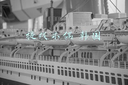 提线木偶 韩国
