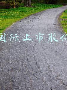 中芯国际股票上市价格(27.46元/股！中芯国际确定发行价，网下申购高达164.78倍，7月7日申购)