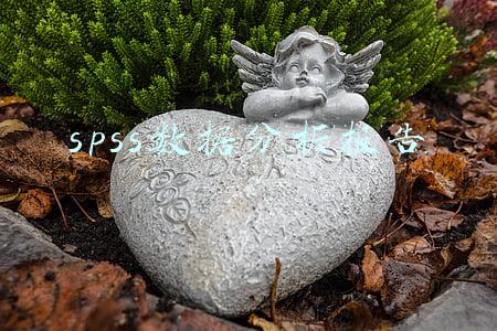 spss数据分析报告模板(数据分析之描述性分析的指标汇总)