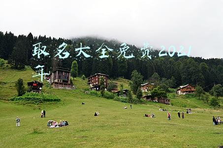取名大全免费2021年