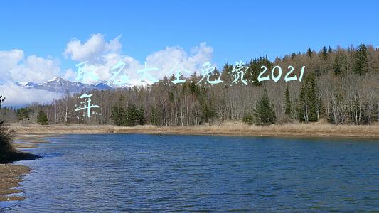取名大全免费2021年
