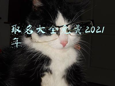 取名大全免费2021年