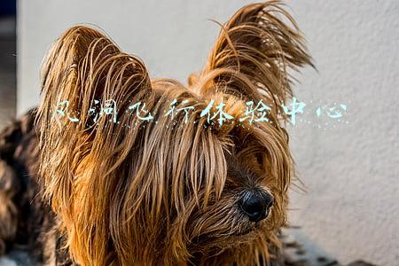 风洞飞行体验中心 风洞飞行体验中心