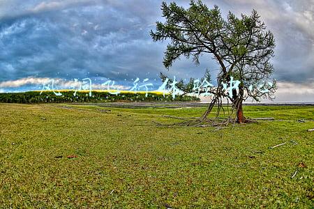 风洞飞行哪里有(30倍声速！我国JF22超高速风洞预计2022年建成)