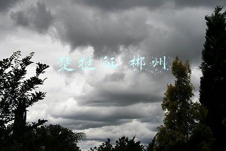 楚挺征 郴州女企业家是谁(郴州遭举报的团委书记被免职 楚挺征照片个人资料猥亵女企业家事件始末)