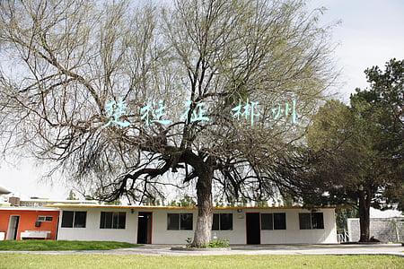 郴州楚挺征最新资讯(湖南郴州北湖区原团区委书记楚挺征被刑拘，涉嫌强制猥亵罪)