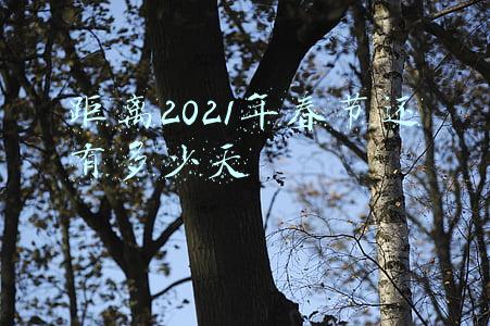 距离2021年春节还有多少天怎么设置(离过年还有339天，我已经开始想念家乡的春节)