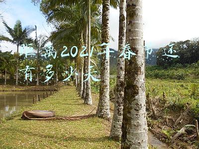 今天距离2021年春节还有多少天(真的！今年元宵节比去年早11天，为啥？)
