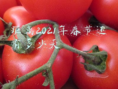 距离2021年春节还有多少天