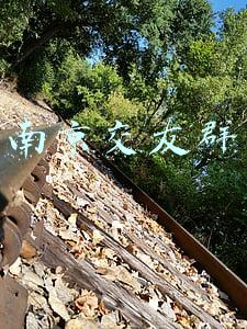 南京交友群