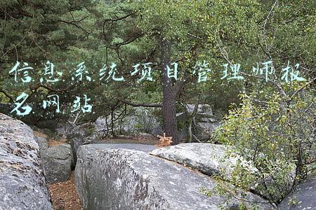 报考系统集成项目管理工程师网址(系统集成项目管理工程师去哪里报名)