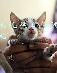 信息系统项目管理师报名网站