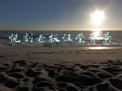 悦刻老板汪莹(汪莹：以RELX悦刻为例，复盘中国品牌出海的跨文化挑战)